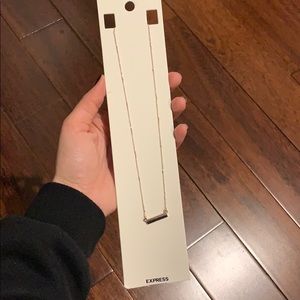 Express Rose Gold Necklace